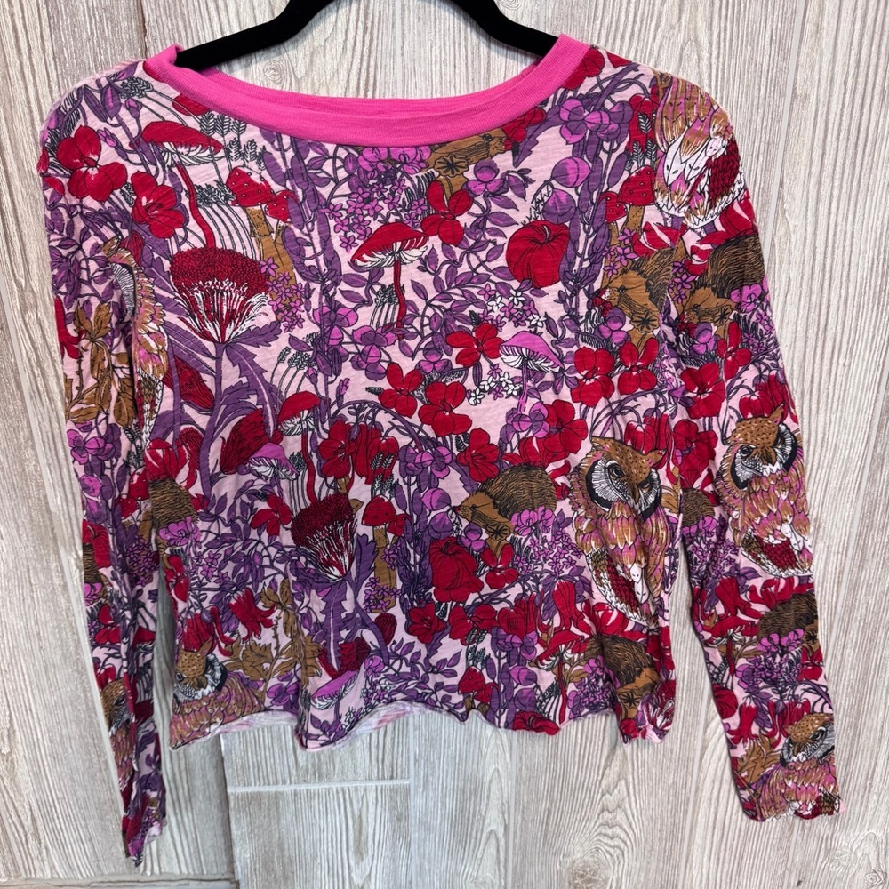 Anthropologie Maeve Pink and Red Floral Long Sleeve Top With Hedgehogs